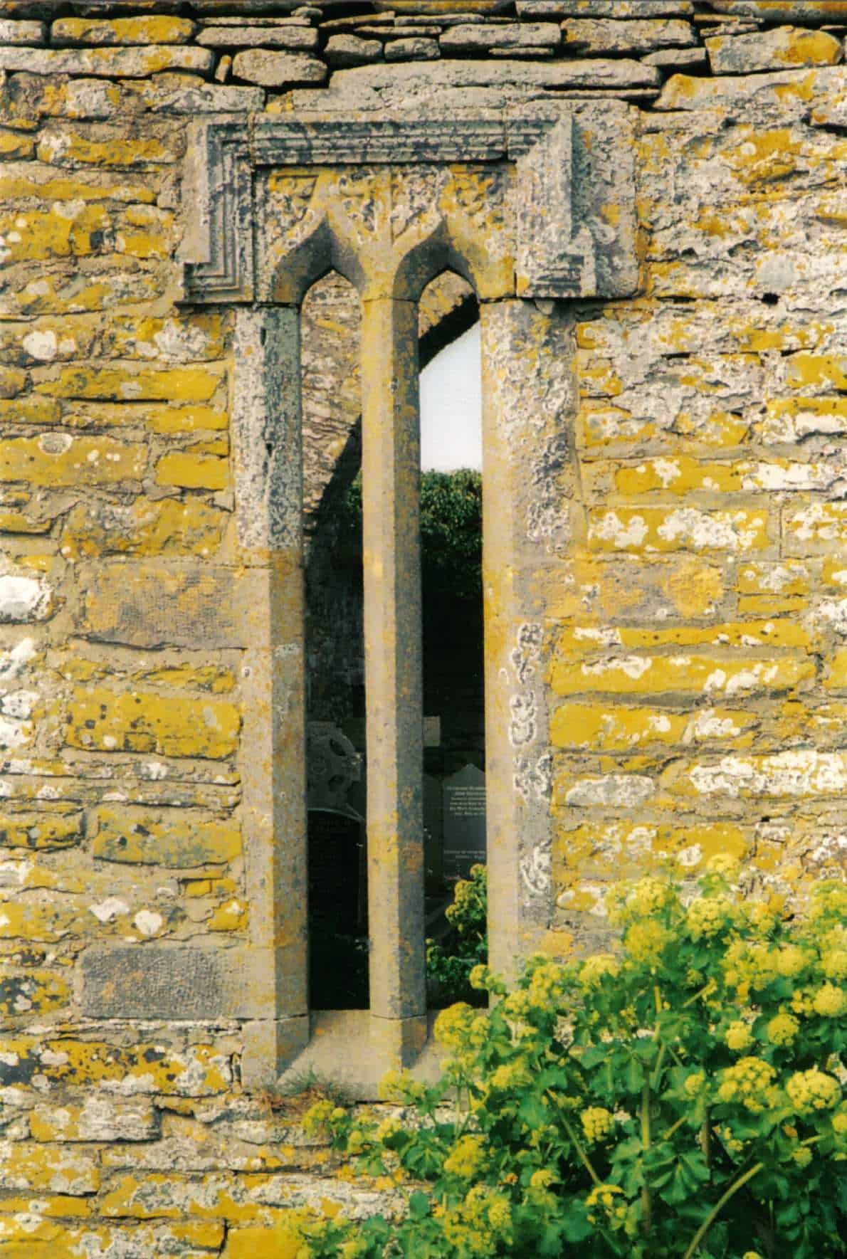 Window