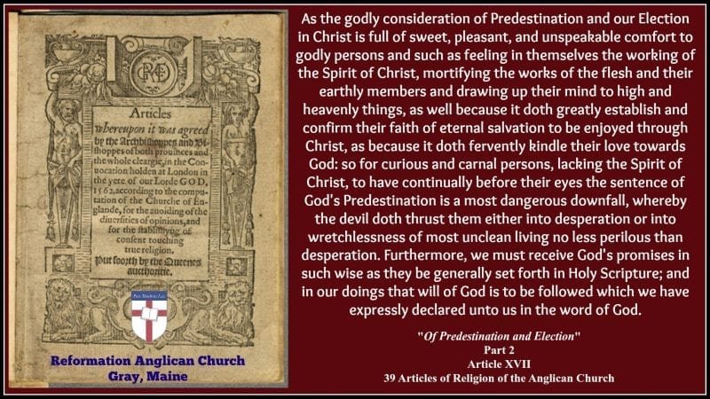 Article XVII