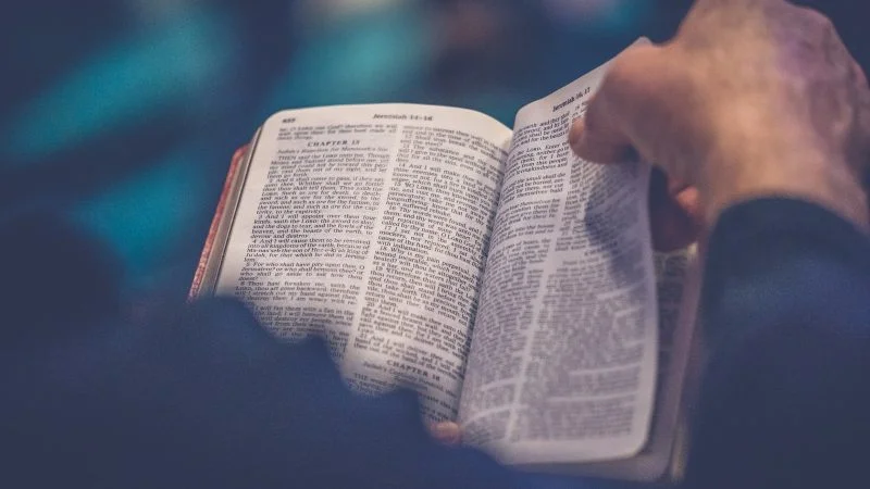 person's hand holding book page